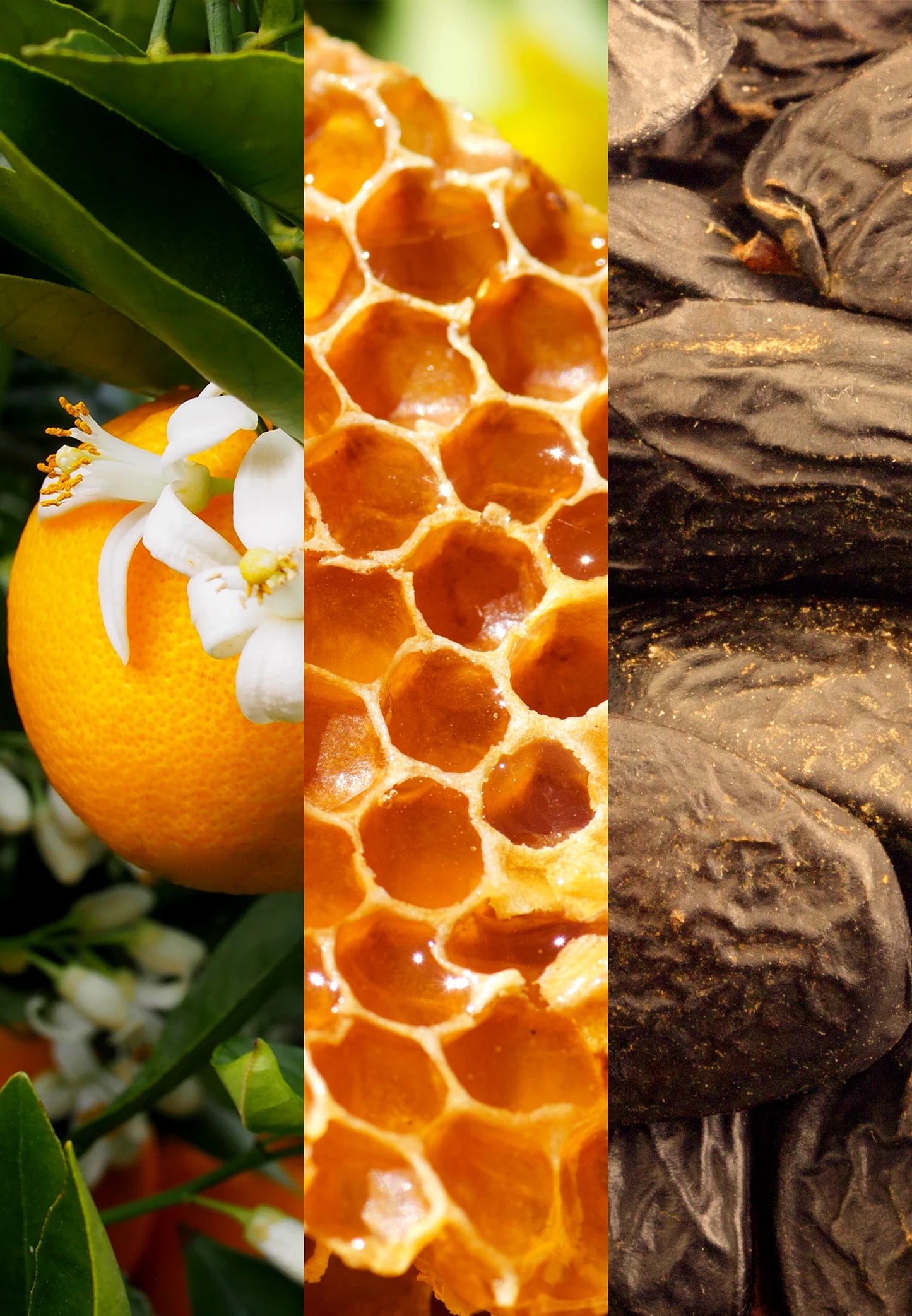 Joop Homme EDT 125ml