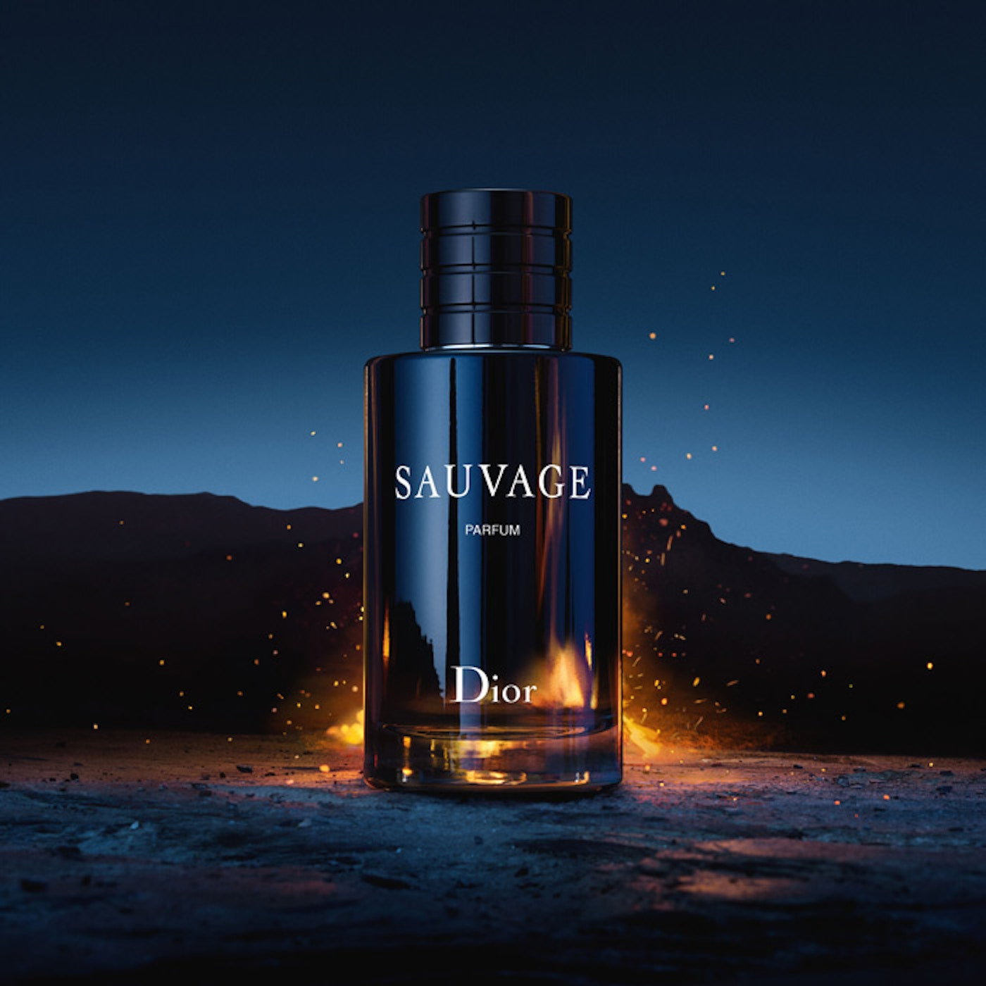 200ml Sauvage Parfum Perfume Dior Sauvage 200 Ml DIOR Sauvage
