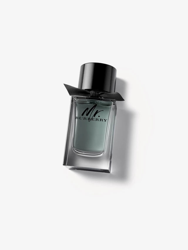 BURBERRY Mr. Burberry EDT 100ML